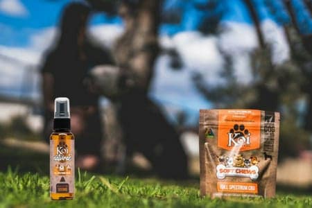 Koi CBD Coupon Code discounts promos save on cannabis online Store6
