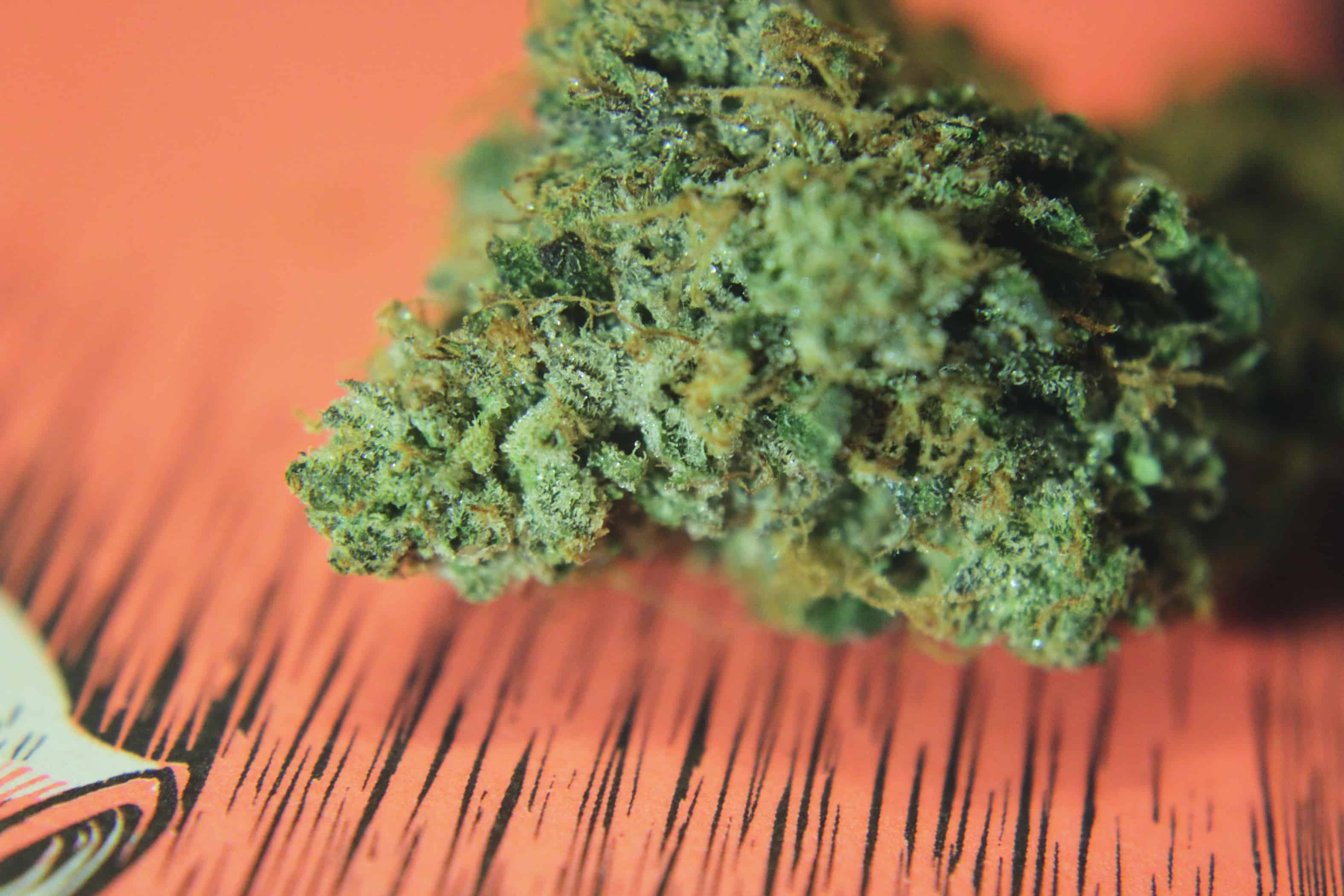 The Green Ace Save On Cannabis Review pink tuna