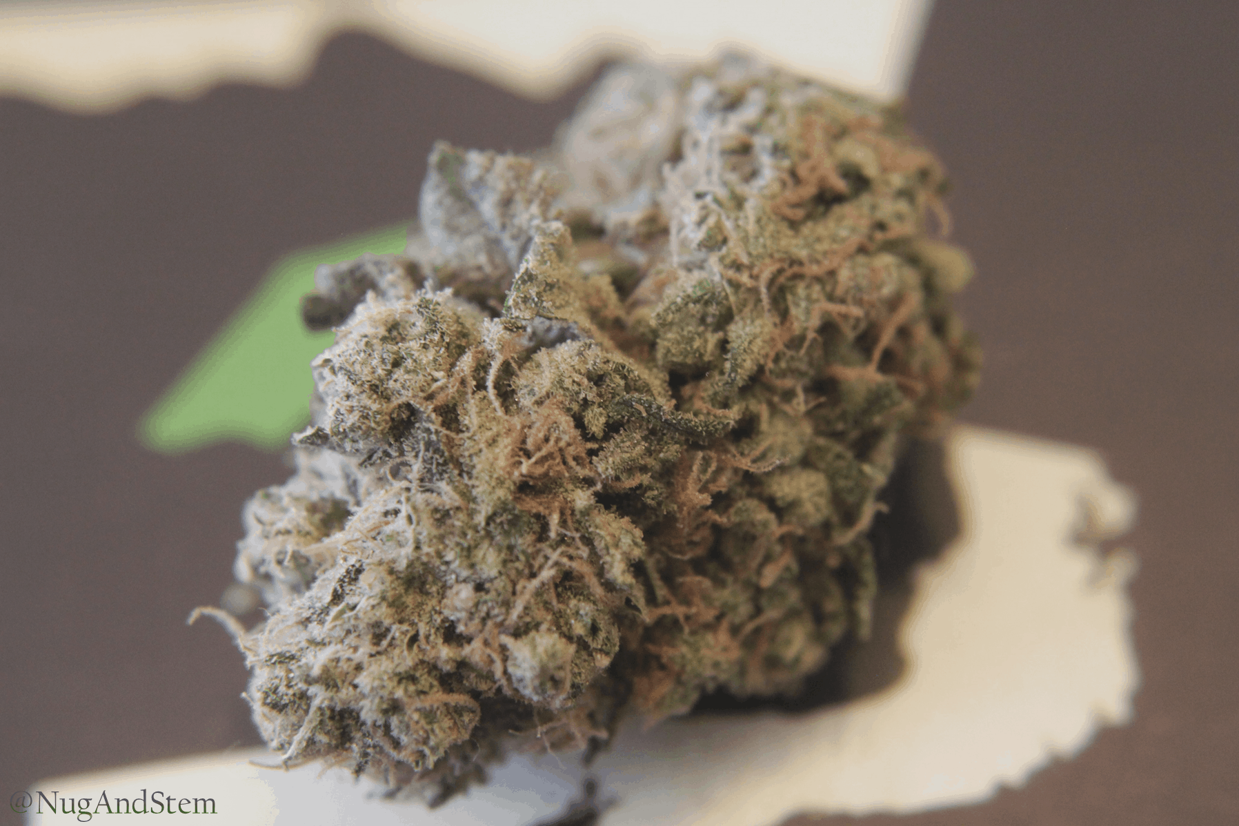 Evergreen Medicinal Review - Save On Cannabis Mail Order Marijuana Canada Gorilla Glue