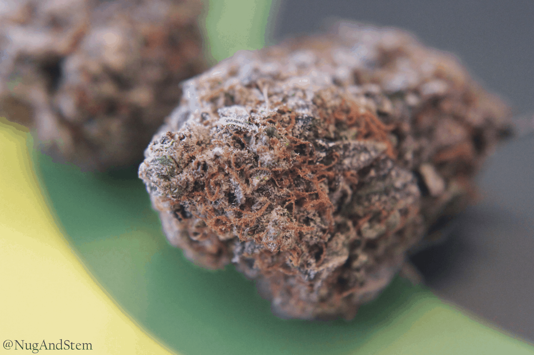 Evergreen Medicinal Review - Save On Cannabis Mail Order Marijuana Canada Pink Kush