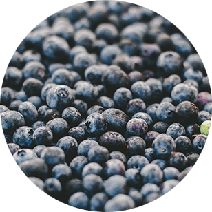 TrueFarma CBD Coupon Code discounts promos save on cannabis online Store26