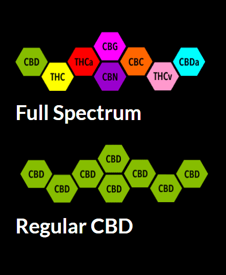 Try TheCBD.COM Coupon Code discounts promos save on cannabis online Store12