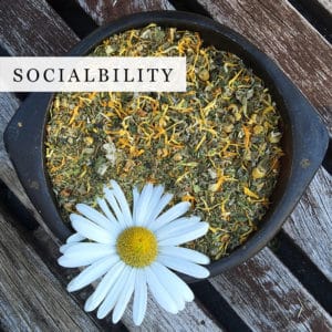 DroppingSeeds Coupon Code discounts promos save on cannabis online Store11