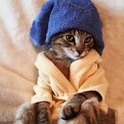 Not Pot CBD Coupon Code discounts promos save on cannabis online Store17
