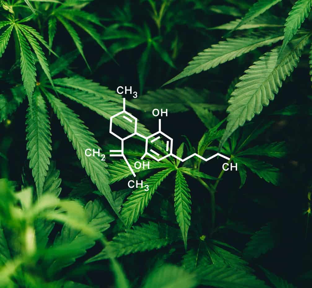 Calm by Wellness CBD Coupon Code discounts promos save on cannabis online Store37
