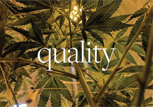 Earth Medicine CBD Coupon Code discounts promos save on cannabis online Store12