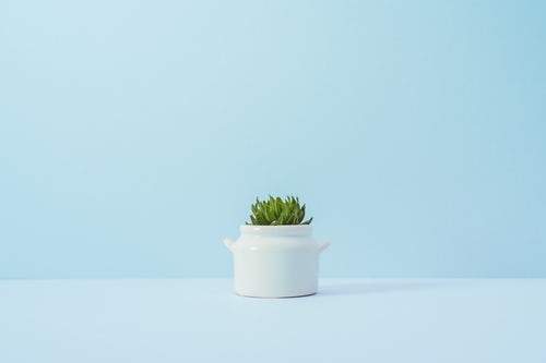 Hoboken Hemp CBD Coupon Code discounts promos save on cannabis online Store3