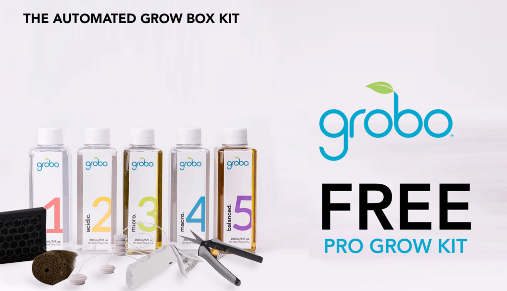 Grobo Cbd Coupon Code Discounts Promos Save On Cannabis Online Website