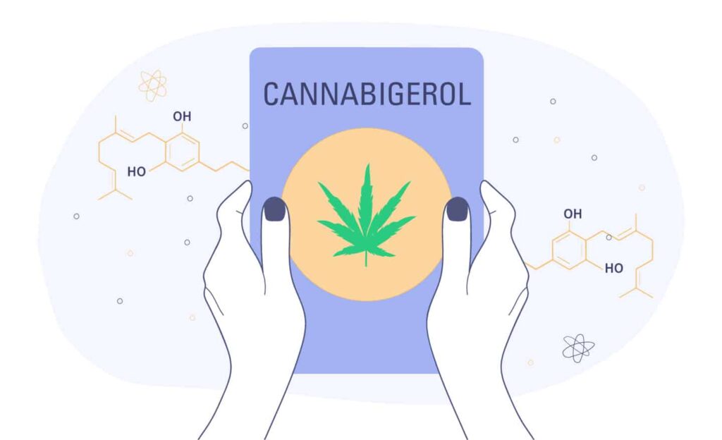 Learn Everything About Cannabigerol (Cbg) 1 Hands Holding Cannabigerol Guide
