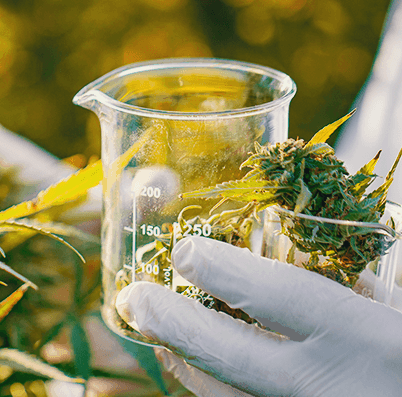 Trupotency.com CBD Coupon Code Standard Products