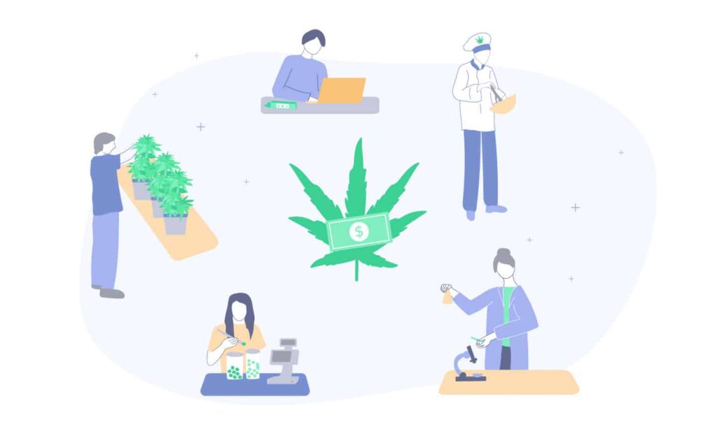 The Best Marijuana Jobs &Amp; Salaries 1 Best Cannabis Jobs And Salaries Guide
