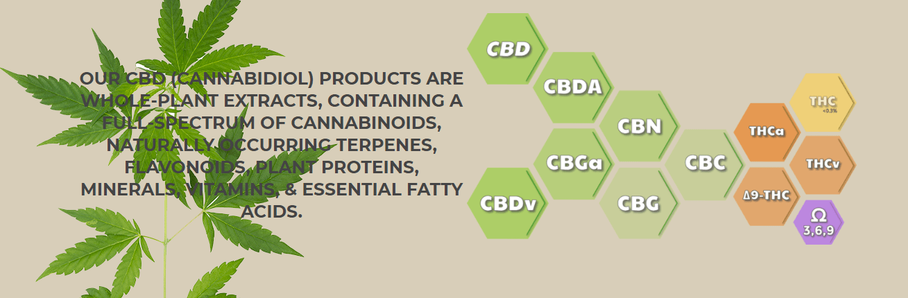 Perks of Using Absolute Nature CBD Coupon Codes