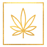 CannaMojo CBD Coupon Code Cannabis Icon