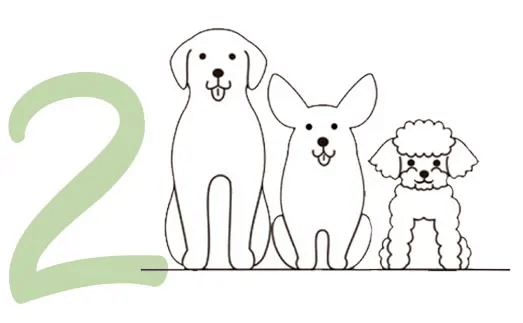 Greenwell Pet CBD Coupon Code Ship immediately