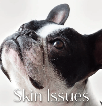 Greenwell Pet CBD Coupon Code Skin Issue
