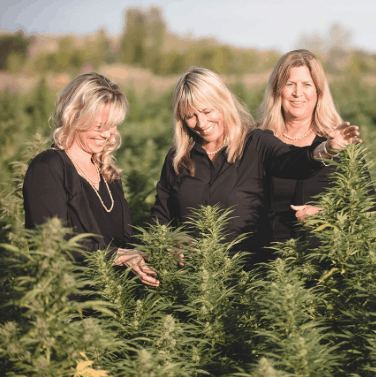 Little Flower Hemp Company Coupon Code About Us
