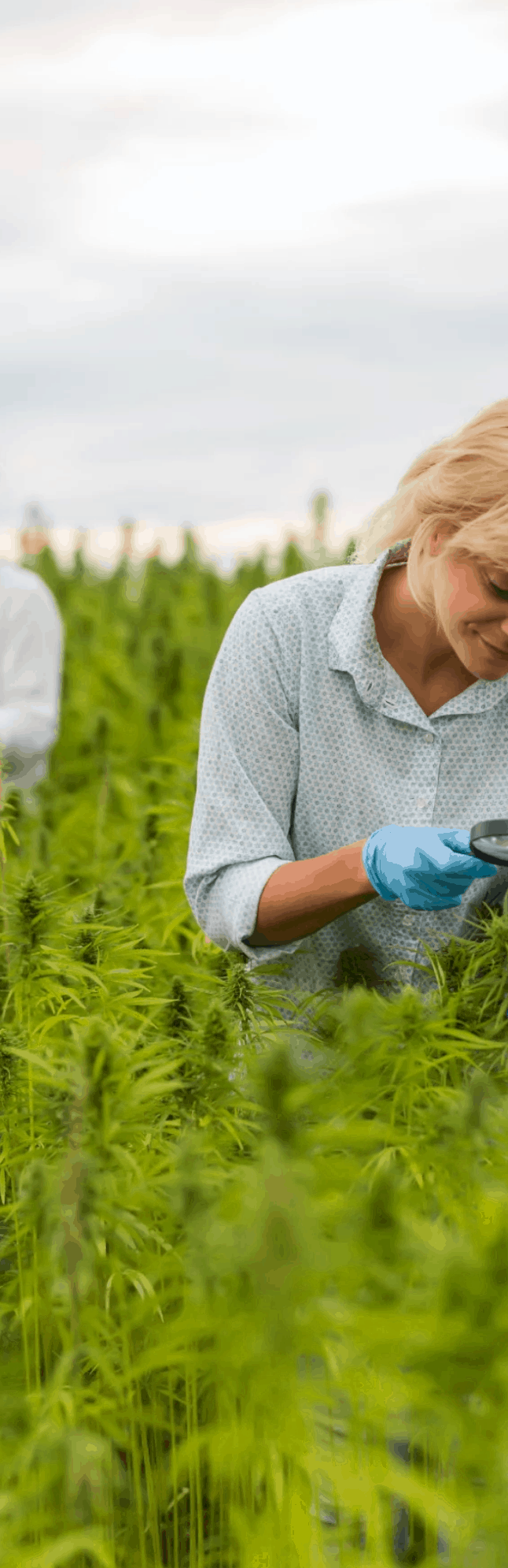 Opulent Organics CBD Coupon Code Our Story