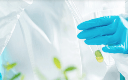 WOW Organics Cannabis Coupon Code Lab Tested