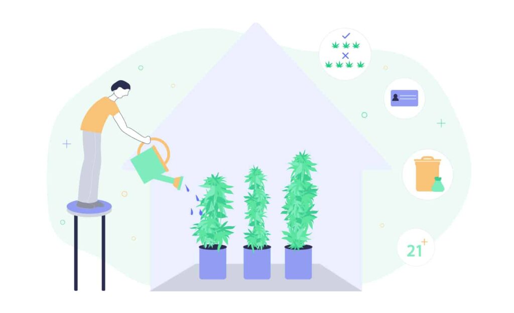 Why Your Indoor Cannabis Grow Is Illegal
