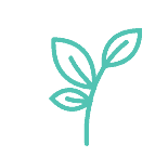 Serene Cannabis CBD Coupon Code Plant Based