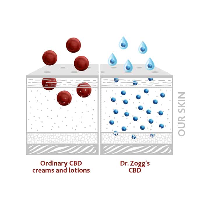Dr. Zoggs Amazing CBD Coupon Code More Advance