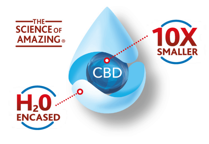 Dr. Zoggs Amazing CBD Coupon Code More Bioactive