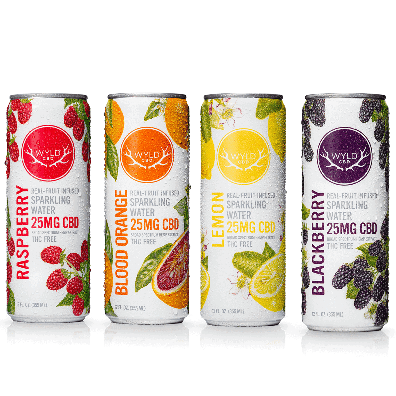 Fruit Infused Sparkling Water