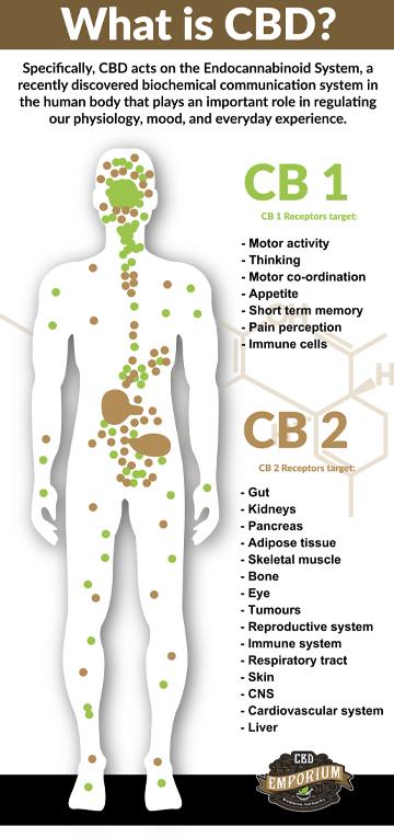 Information provided by CBD Emporium Regarding CBD