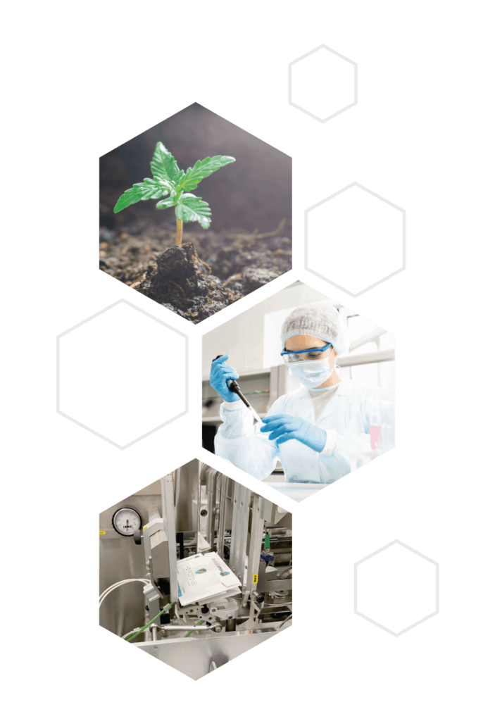 Hemp Defense CBD Is Involved In Every PROCESS