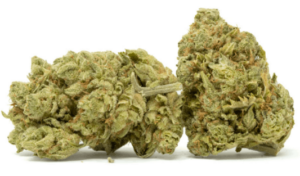 Weed Deals Cannabis Coupons Violator OG Kush Flowers