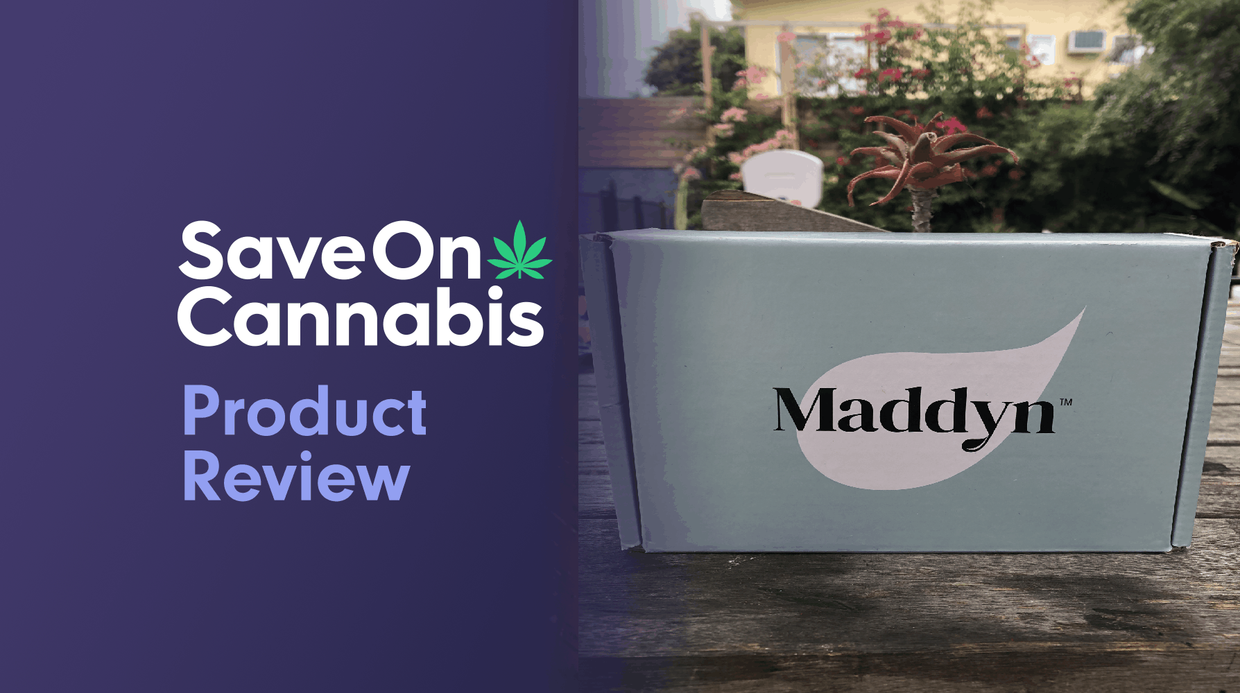 maddyn renew and recharge cbd topical crème save on cannabis review website