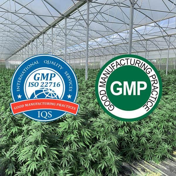Formula Swiss CBD Coupons GMP Certified