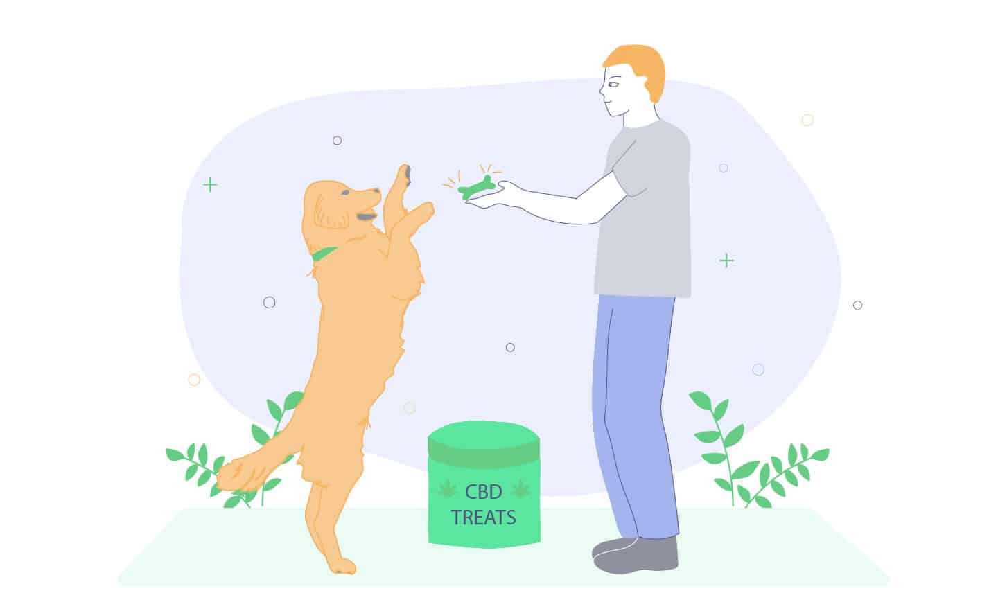 best CBD dog treat for joint pain