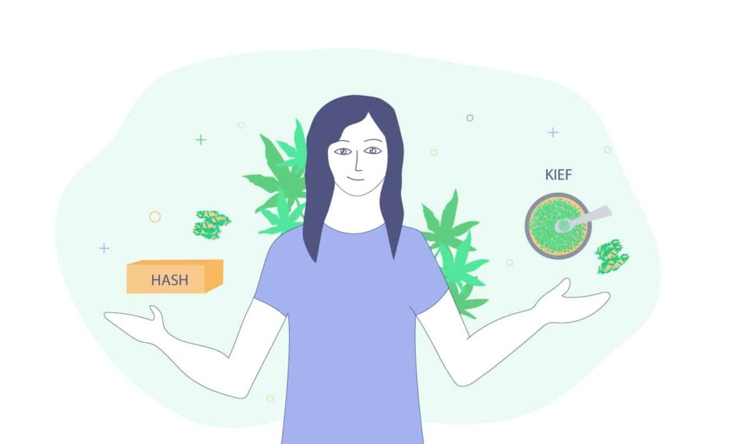 The Differences Between Hash Vs Kief 1 Hash And Kief Side By Side
