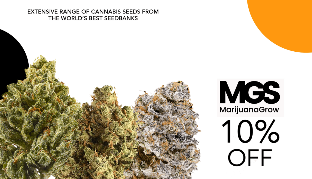 Save 10% On Feminized Seeds Marijuana Grow Shop Coupon! 10 Marijuana Grow Shop Seeds Coupon Code Offer Website