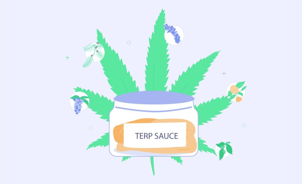 What Is Terp Sauce &Amp; How Does It Work? 1 What Is Terp Sauce