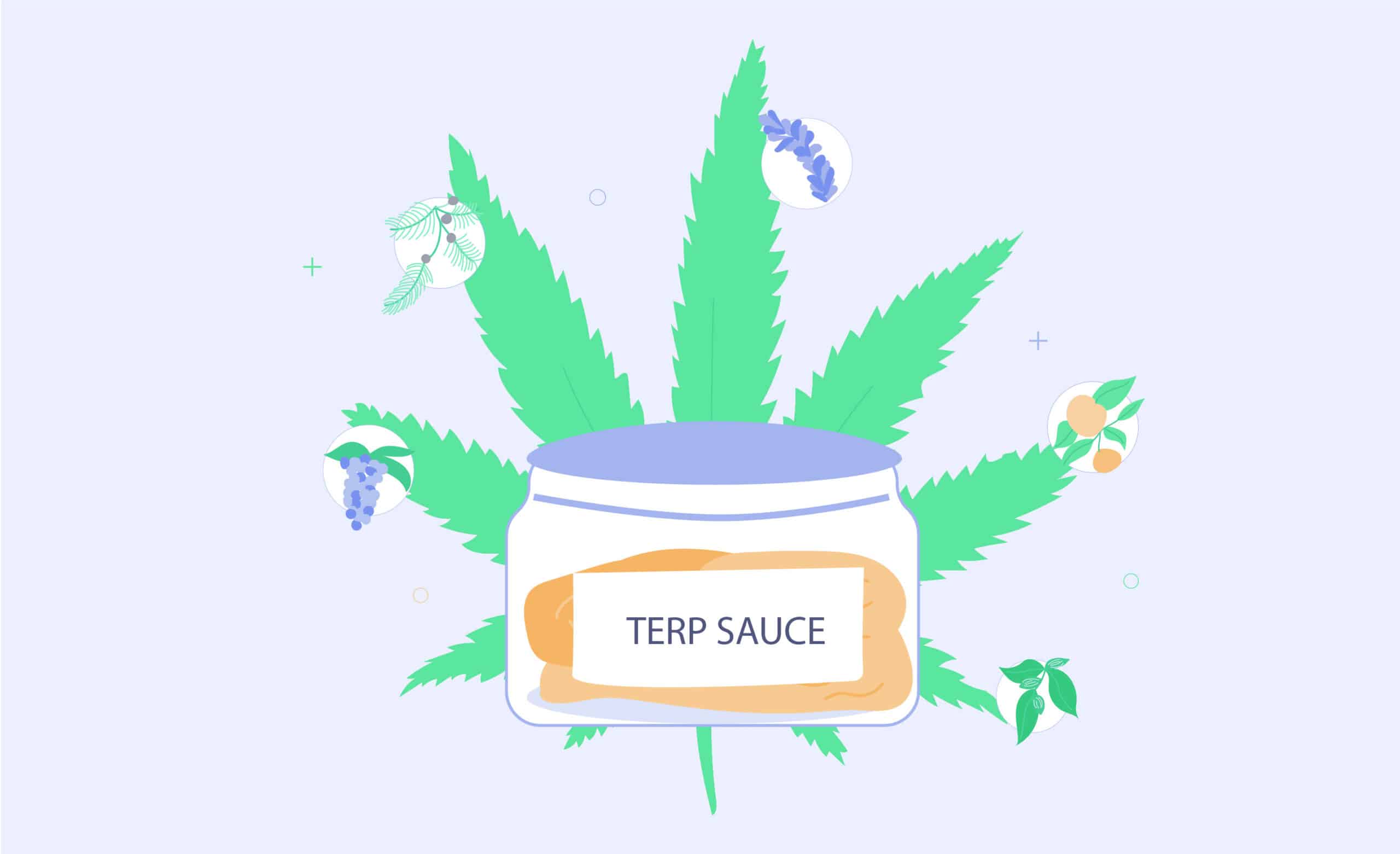 what is terp sauce