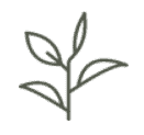 Naturecan CBD Coupons Natural Product