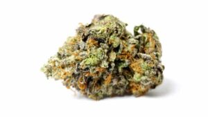Budlyft Cannabis Coupons Death Bubba