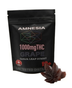 CAMMP Cannabis Coupons Amnesia Extraction Gummy