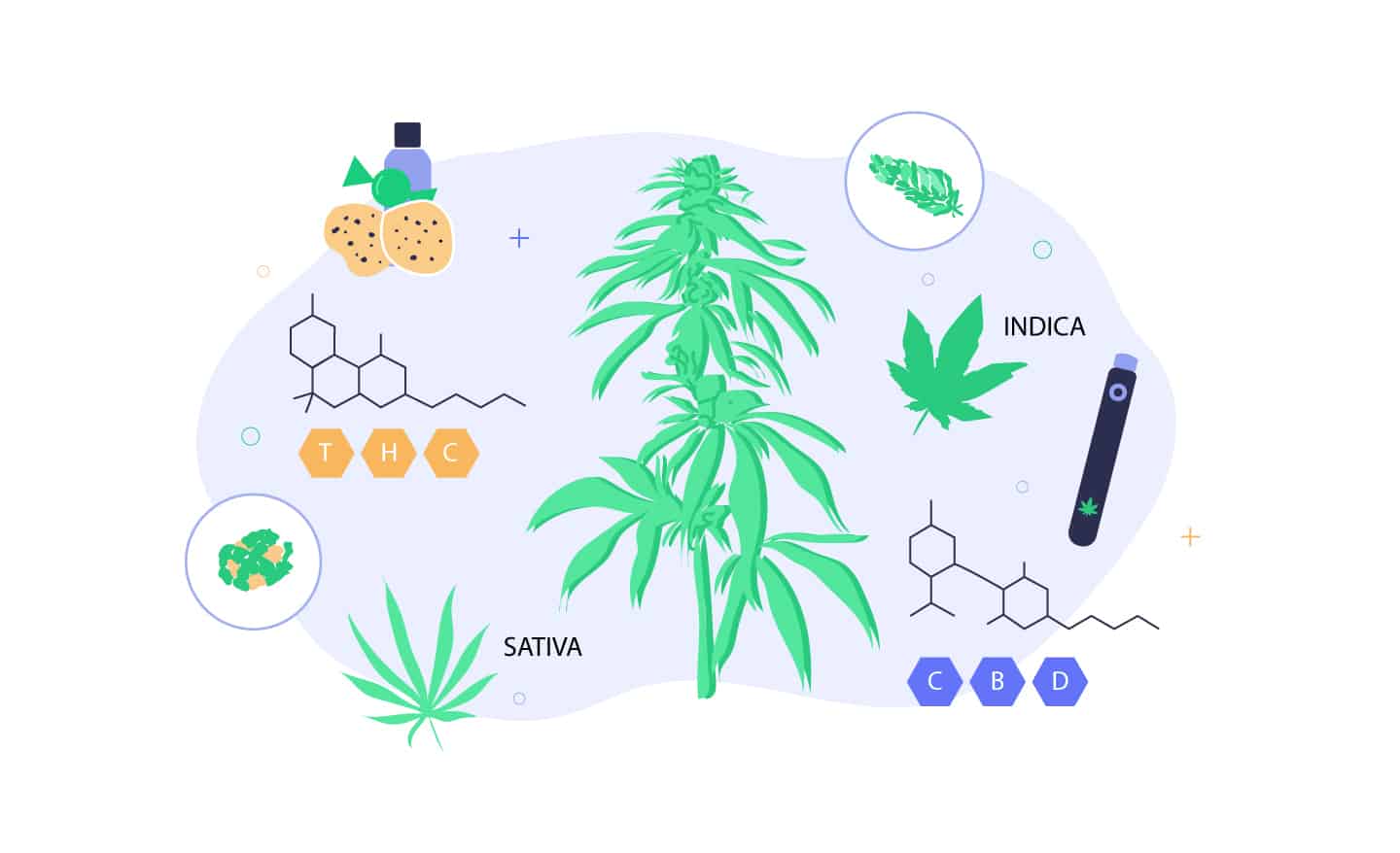 Top 6 things about marijuana - Save On Cannabis