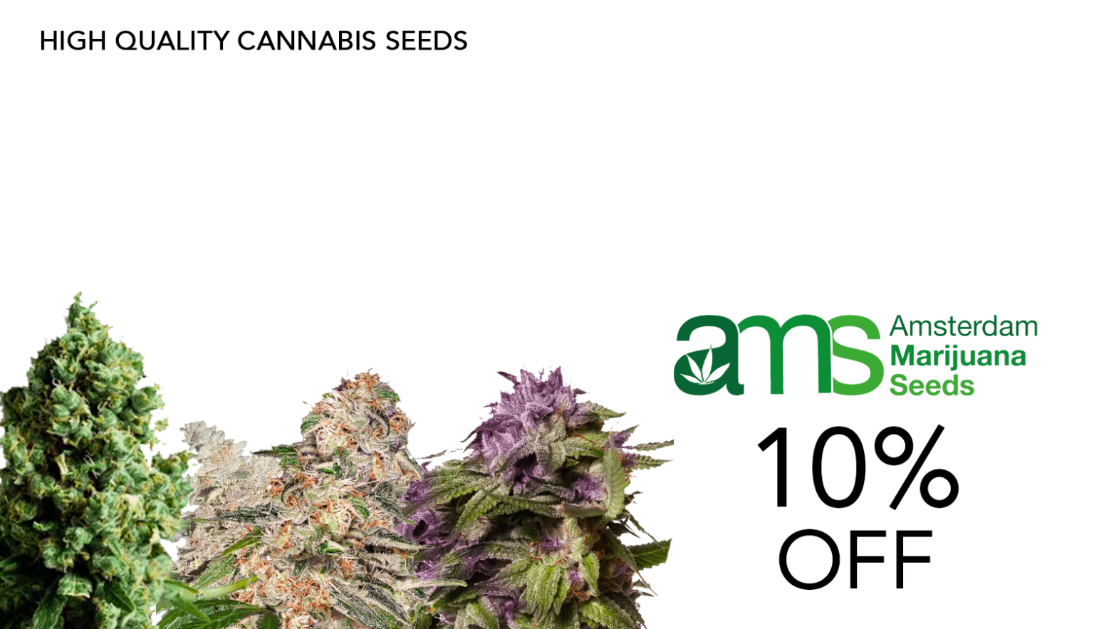 Verified Cannabis Seeds Coupon Codes at Save On Cannabis