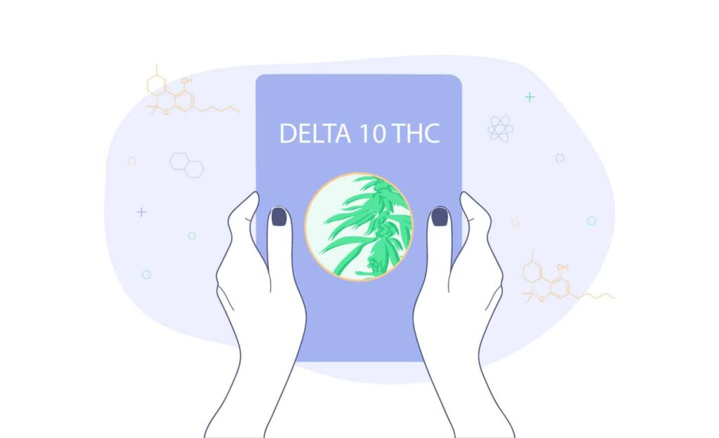 The Complete Guide To Delta 10 Thc 1 Delta 10 Thc Guide