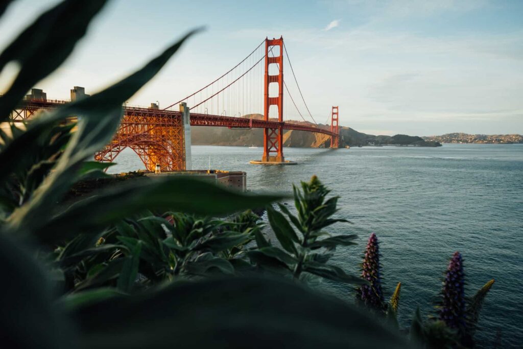 San Francisco is a cannabis-friendly vacation city