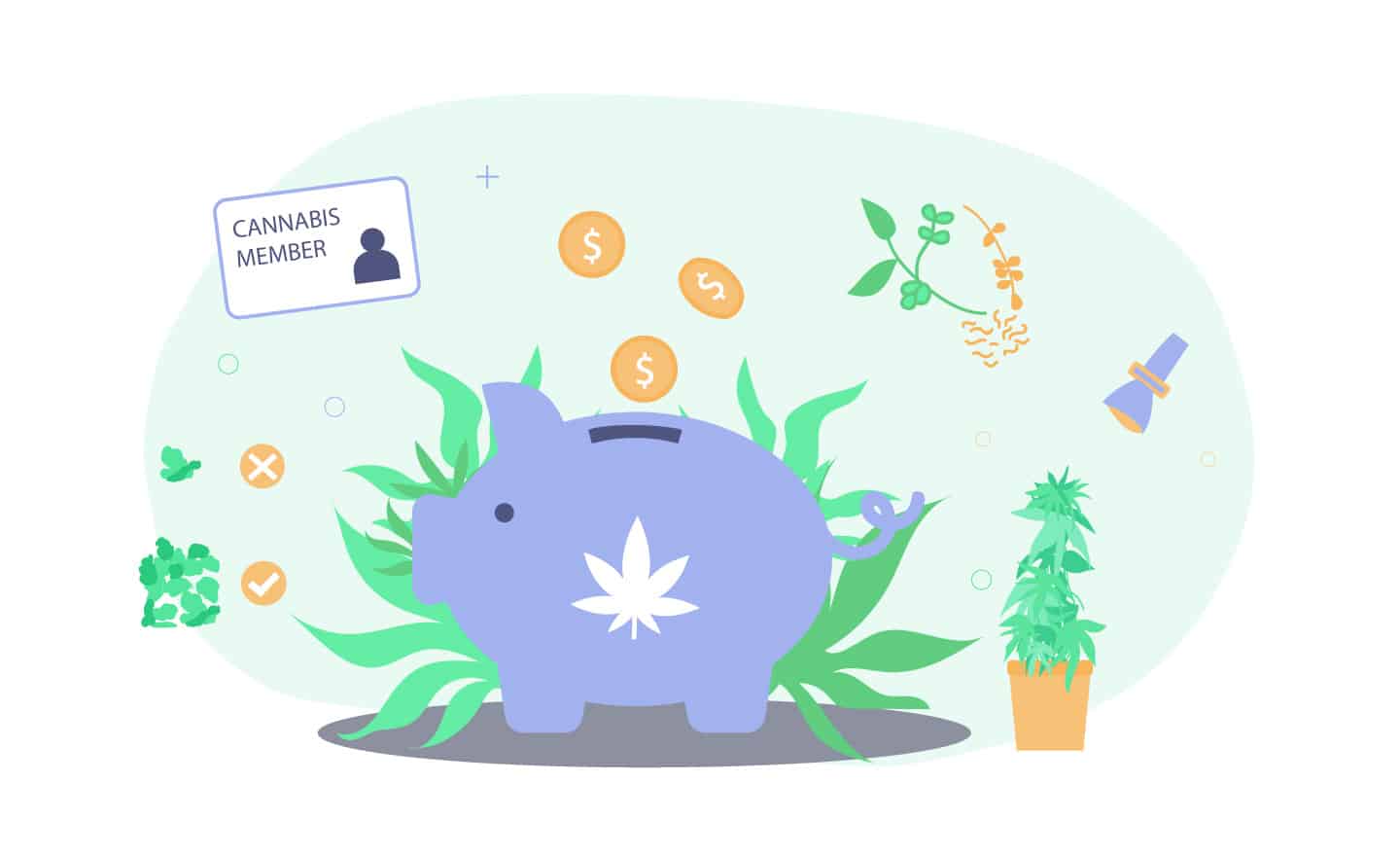 Learn how to save on cannabis