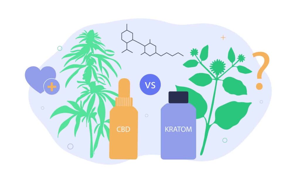 Cbd Vs. Kratom: Which One Should I Use? 1 Cbd-Vs-Kratom-Breakdown