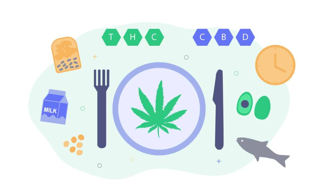What Happens When You Consume Edibles On An Empty Stomach? 1 Edibles On An Empty Stomach