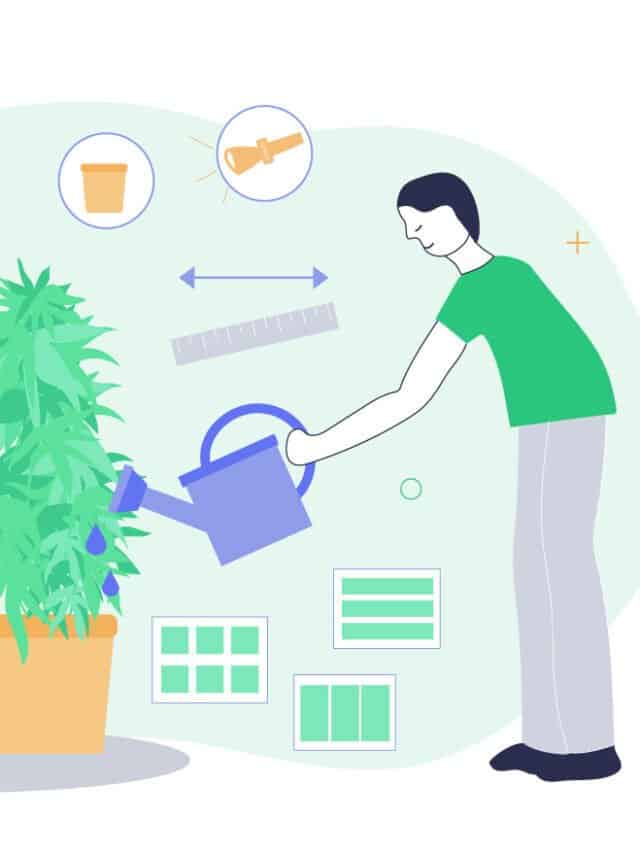 What Is the Ideal Grow Room Size Per Plant?