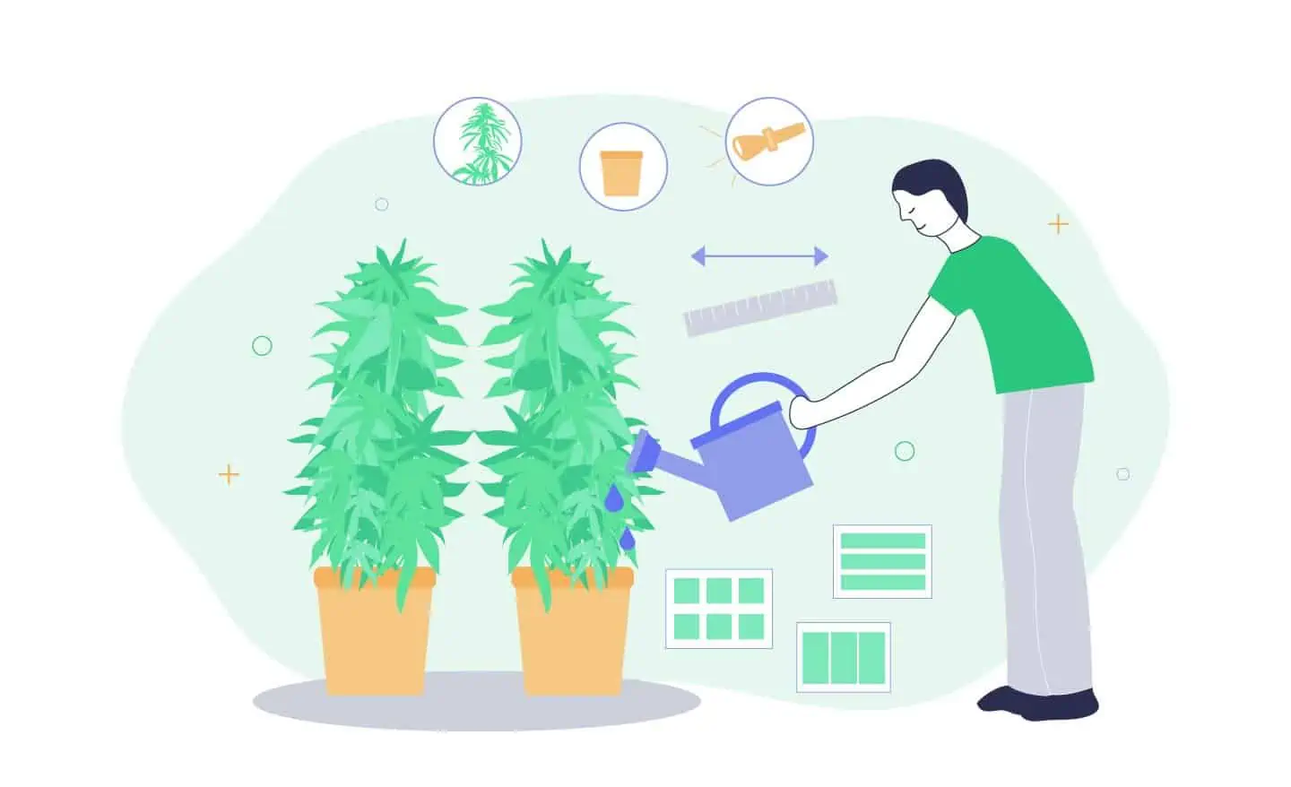 ideal grow room size per plant for growing cannabis