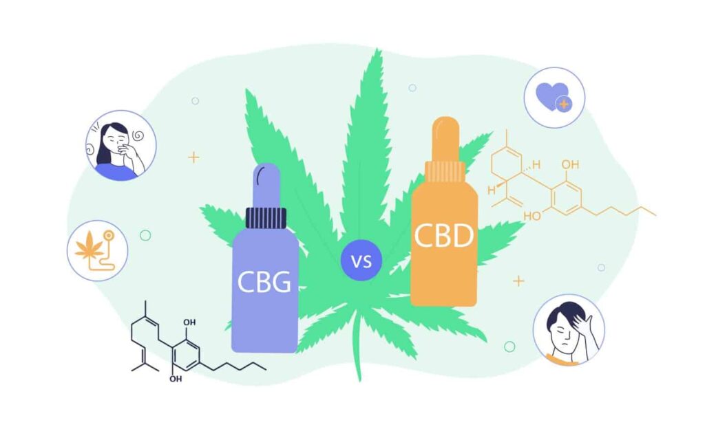 Cbd Vs Cbg - Learn